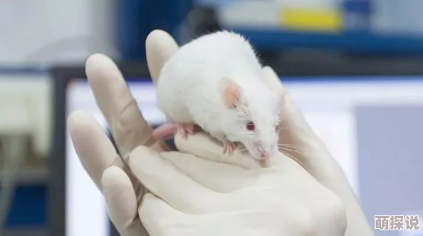 丹麦大白屁股xxxxx哺乳:科学家发现这种罕见现象竟能提高幼崽存活率,震惊全球动物界! 丹麦大白屁股xxxxx哺乳:科学家发现这种罕见现象竟能提高幼崽存活率,震惊全球动物界!