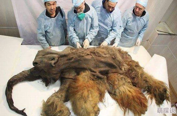 丹麦大白屁股xxxxx哺乳:科学家发现这种罕见现象竟能提高幼崽存活率,震惊全球动物界! 丹麦大白屁股xxxxx哺乳:科学家发现这种罕见现象竟能提高幼崽存活率,震惊全球动物界!