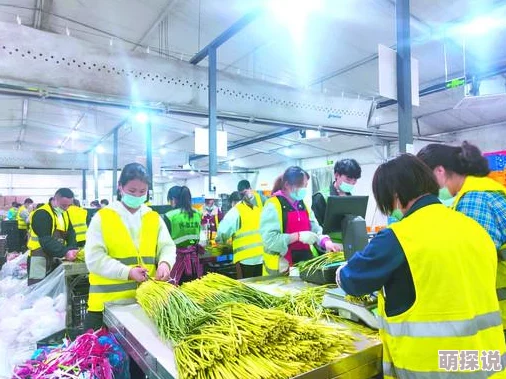 9-1-1制品厂麻花网友认为该产品口感独特，外酥内软，适合搭配各种饮品，是休闲时光的绝佳选择