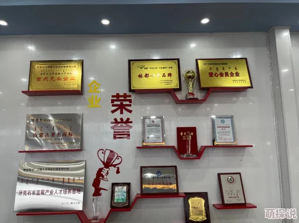 9-1-1制品厂麻花网友认为该产品口感独特，外酥内软，适合搭配各种饮品，是休闲时光的绝佳选择