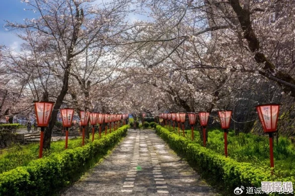国产欧美精品亚洲桃花岛，真是一个让人向往的地方，风景优美，人文气息浓厚