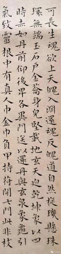 长生诀手游乾坤职业加点攻略：技能最优分配方案推荐