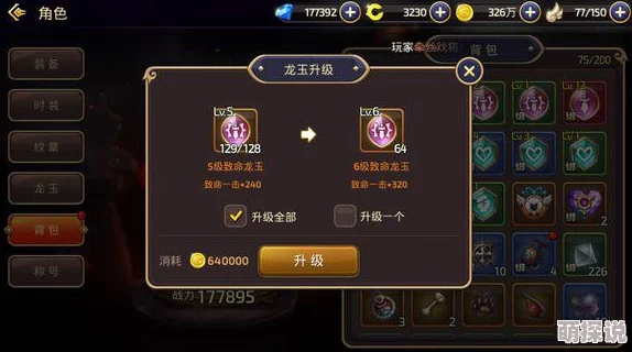 龙之谷手游土豪玩家顶级毕业配备揭秘：奢华不仅限于装备，全方位打造极致角色