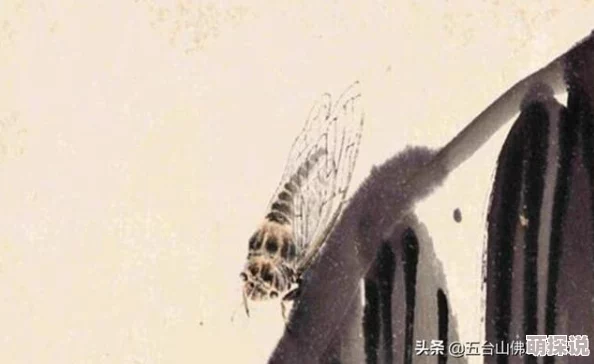 嗟嗟嗟嗟嗟嗟嗟好痛！一场突如其来的意外让全城震惊，伤者人数不断攀升，引发社会广泛关注！