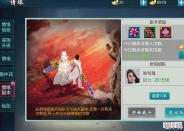 御剑情缘手游离婚系统全面攻略：如何顺利解除情缘关系步骤详解