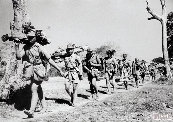 乱世王者高效兵营训练技巧揭秘：全面掌握兵营训练方法与策略