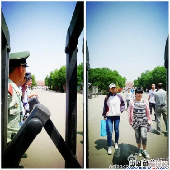 又粗又长进美妇后菊视频：最新动态引发网友热议，相关讨论持续升温，关注度不断攀升