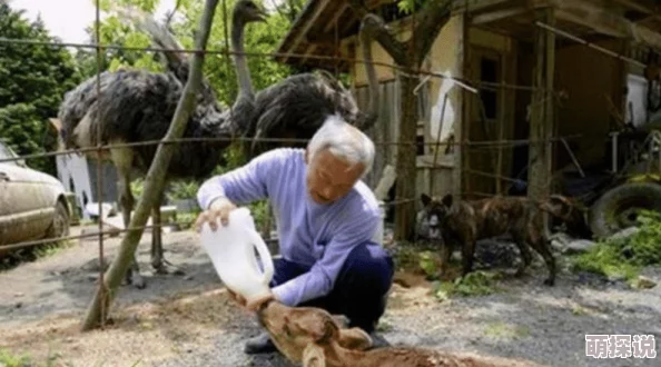 爱如潮水高清视频日本动漫传递了无尽的温暖与希望让我们在每一个瞬间都感受到爱的力量和美好