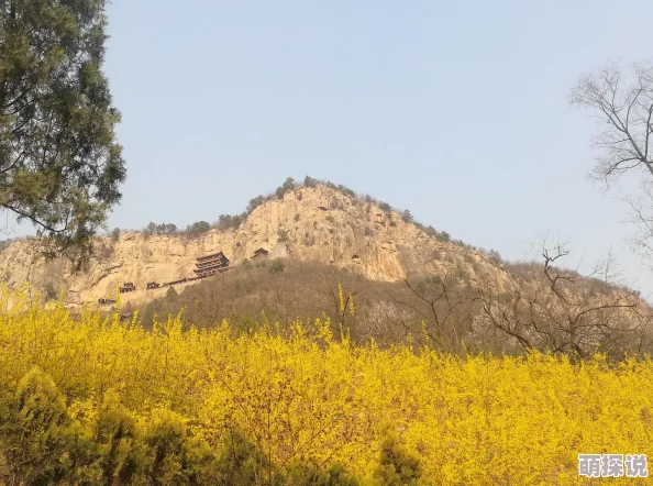 久久性都花花世界红灯 网友推荐这部作品精彩纷呈情节紧凑让人欲罢不能绝对值得一看不容错过的佳作
