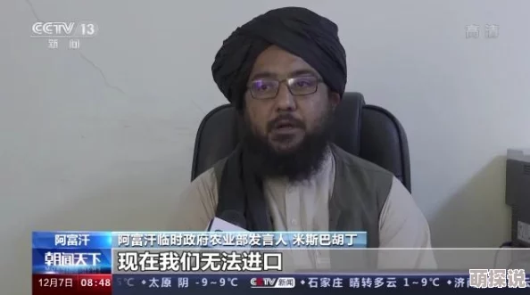边境之旅全地图小麦位置一览及详细面包制作教程指南
