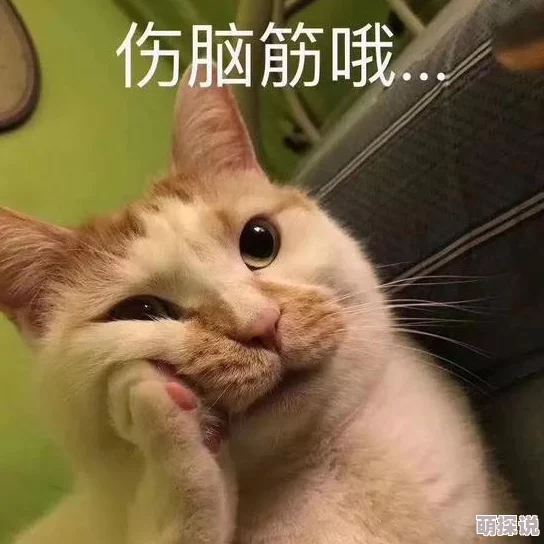 爱爱动图好硬好湿好爽在生活中我们要积极向上勇敢追求自己的梦想让每一天都充满激情与活力