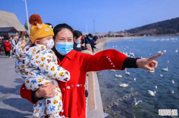 梦间集天鹅座咖啡厅装扮秘籍：解锁高颜值布置技巧，打造梦幻休闲空间