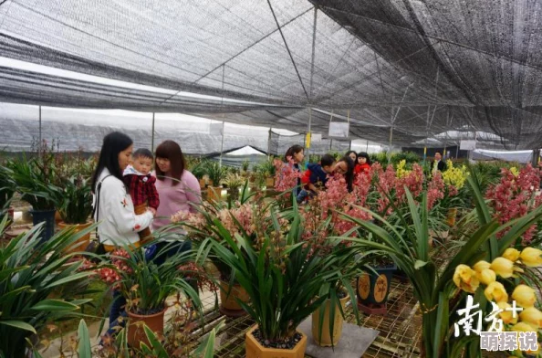 日本不卡一区视频 弘扬正能量 传递温暖与希望