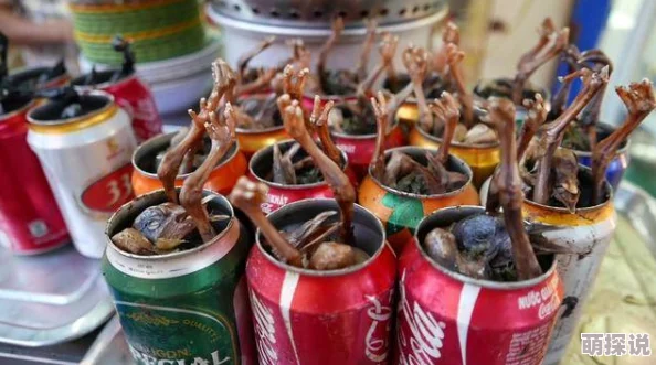 揭秘暗料理王独门食谱攻略：特酿龙舌兰酒配方大公开，解锁味觉新境界