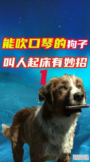 明日之后：懒人玩家探索犬类习性指南，优选适合懒养的狗狗品种