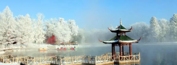 天天飞车配件攻略详解：祈福配件玩法技巧与策略全解析