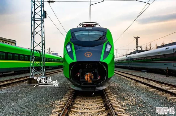 晨曦列车深度攻略：掌握高效技巧，轻松征服苏摩角色全解析