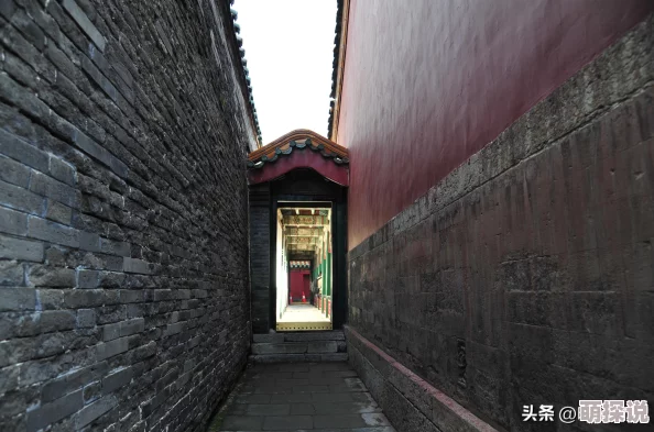 风云岛行动揭秘：大锅技能天赋全解析，厨师进阶之路正式开启探索之旅