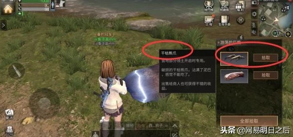 《明日之后》游戏揭秘：刺楸树根的特殊用途与高效获取攻略