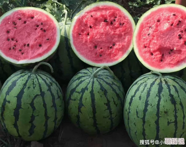 吃瓜51两小无知