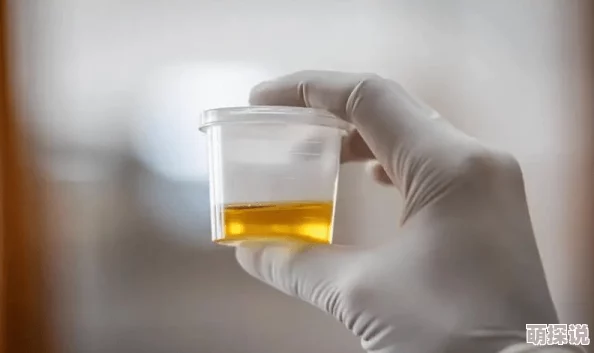 一级黄色夫妻指的是在婚姻中双方关系和谐、感情深厚的典范 一级黄色夫妻指的是在婚姻中双方关系和谐、感情深厚的典范