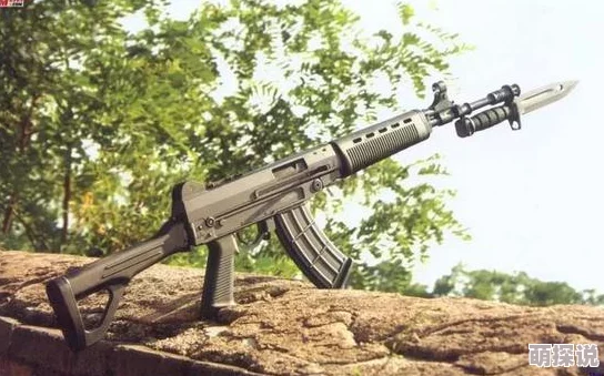 全民枪战深度解析：自动步枪AUG性能特点与实战应用详解