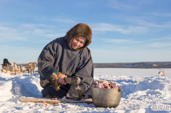 绝地求生刺激战场极寒模式:生鹿肉作用揭秘,烤制后助玩家回温回血提升生存力 绝地求生刺激战场极寒模式:生鹿肉作用揭秘,烤制后助玩家回温回血提升生存力