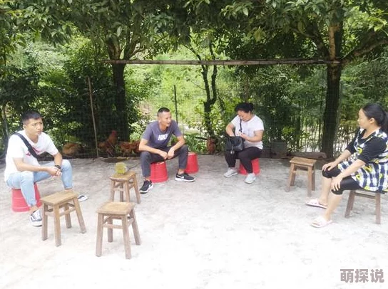 心灵战争校长夫人问答环节题目全览及具体答案深度解析报道