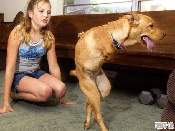 两个人暧昧bgm嘟嘟噜嘟嘟嘟噜婚礼发癫后奶狗总裁追着我宠