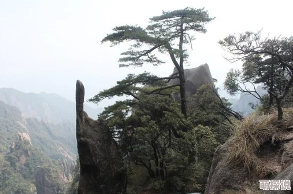 黑暗料理王创意爆棚:仙人鼠组合形状图形分享,解锁美食新次元! 黑暗料理王创意爆棚:仙人鼠组合形状图形分享,解锁美食新次元!