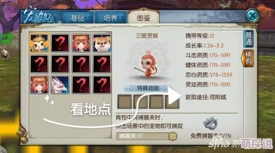 揭秘一刀流宠物培养秘籍，全新宠物系统萌力全开，让你爱不释手！