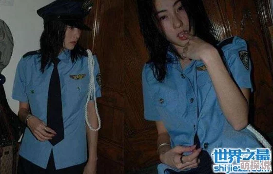 张柏芝艳照i门dvd是关于她私密照片泄露事件的影像记录