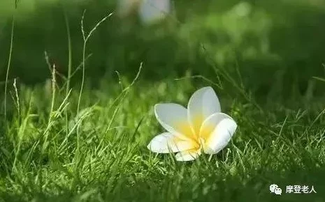 云上的日子愿你生活美满幸福快乐每一天