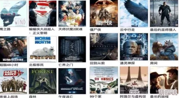 欧美日韩无线码免费播放最新电影上映时间表及观影指南
