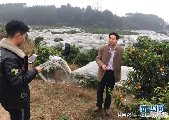 春雨直播全婐app免费一款提供多样化内容的直播平台