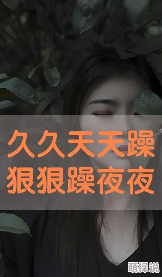 天天躁夜夜躁狠狠躁躁大宋女法医