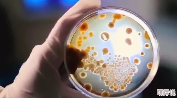 人类合约科学家发现新型细菌可降解塑料垃圾