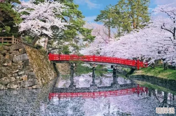 樱花视频日本赏樱季节将至各地纷纷准备迎接游客樱花盛开预计在三月底四月初达到最佳观赏期