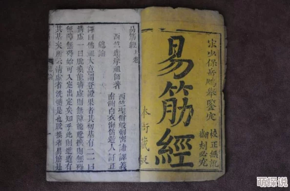 九阴真经手机版多次测试备受瞩目，公测时间引期待，游戏玩法丰富好玩吗？