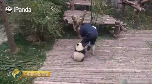 很黄很黄的激吻摸下面的视频大全最近爆红网络点击量破亿