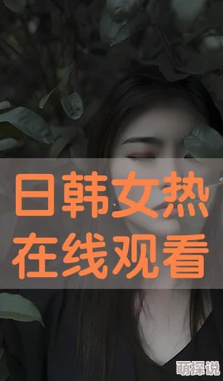 亚洲欧美日韩精品在线拳神小子