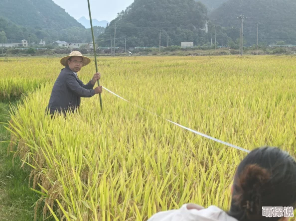 乡村乱淫小说春耕时节农忙多情侣趁机幽会田间地头