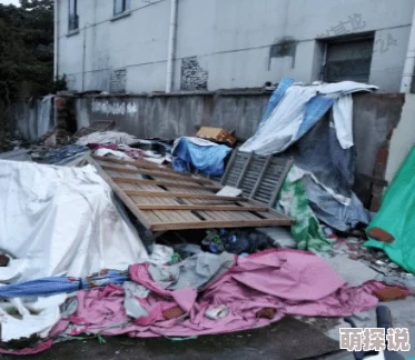 2020久久精品亚洲热综合二次曝光