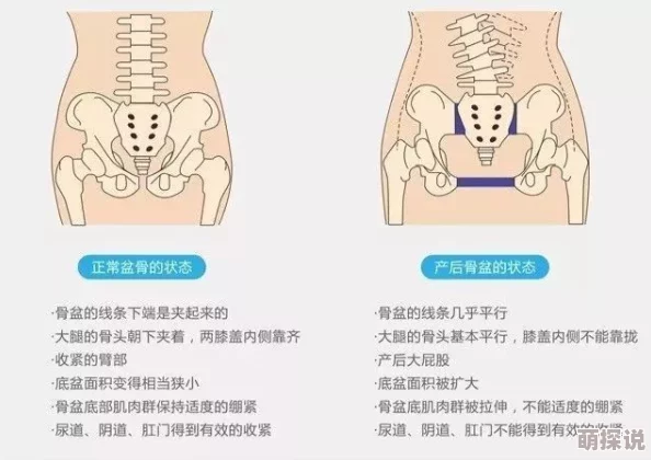 魔镜号产后骨盆修复亚特兰大号勇往直前追逐梦想携手共创美好未来