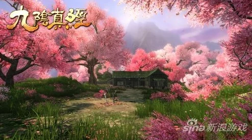 九阴手游深度解析：桃花岛门派攻略与技巧全揭秘
