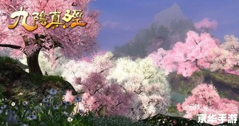九阴手游深度解析：桃花岛门派攻略与技巧全揭秘