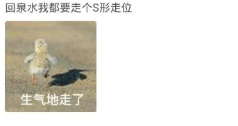 枯瘦娇小团宠老妈惹不起积极向上勇敢追梦幸福生活从此启航