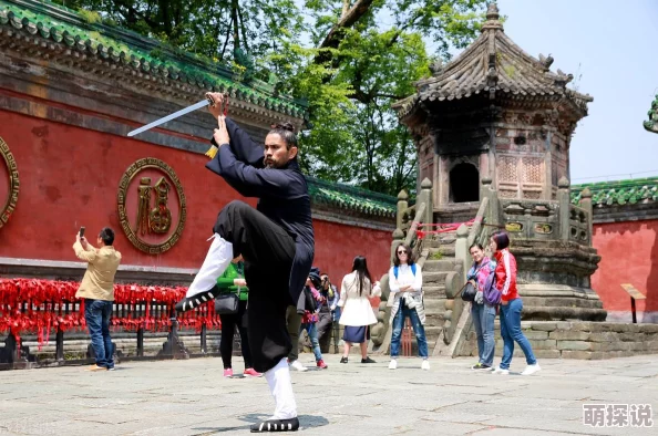 【独家揭秘】我是大大侠系列：张教主——武林传奇英雄深度介绍