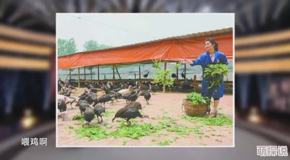 俺混在农村努力奋斗追求梦想让生活更加美好充满希望与阳光