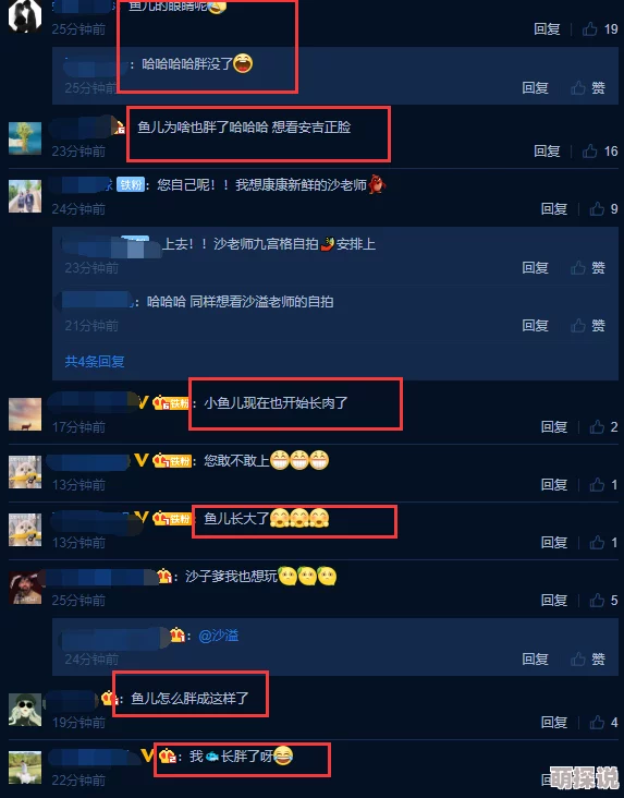 小鱼儿域名主页网站唐人街小子勇敢追梦展现自我价值成就未来